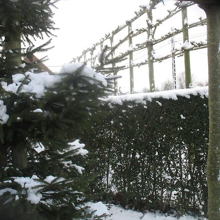 B&B Greenhouse 37 Langemark Exterior foto